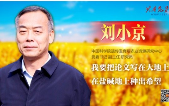 亚洲威廉