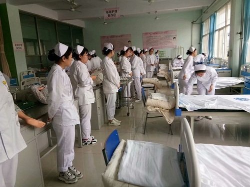 0311-82280596(卧龙院办
