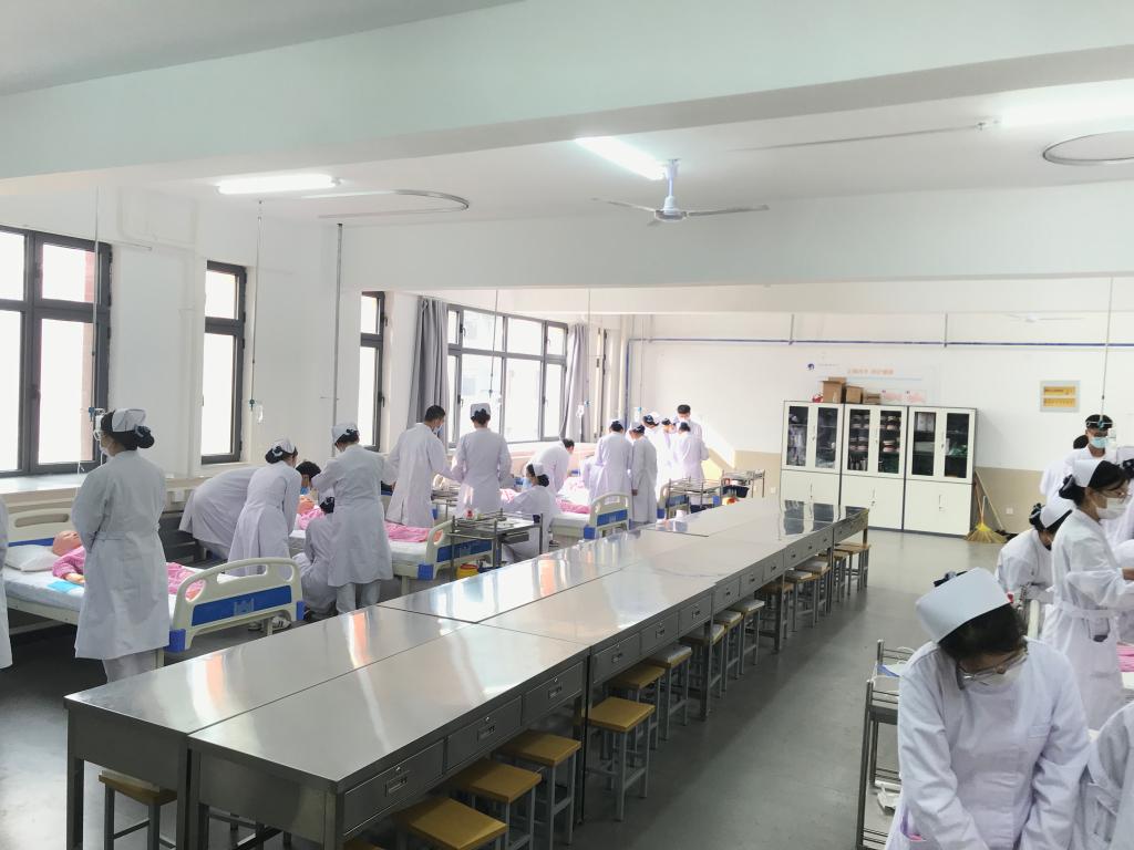 0311-82280596(卧龙院办